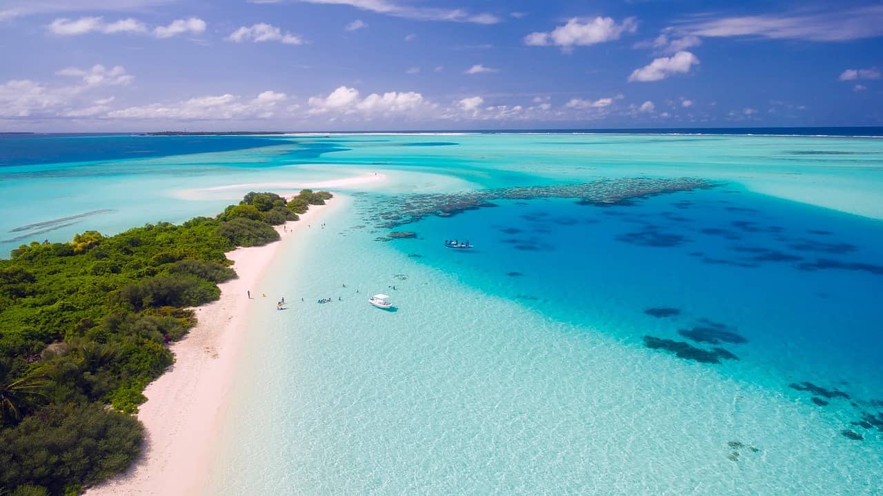 Maldivy