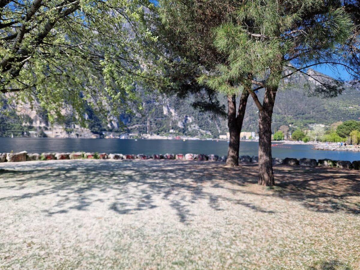 Riva del Garda